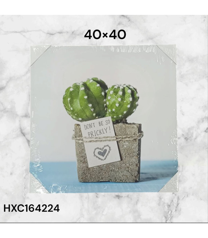 Cuadro Decorativo con Diseño de Cactus y Frase "Don't Be So Prickly!"